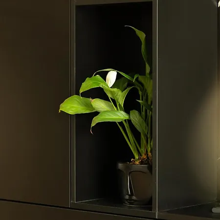 Διαμέρισμα 29th Floor - Skyline Serenity & - Exclusive