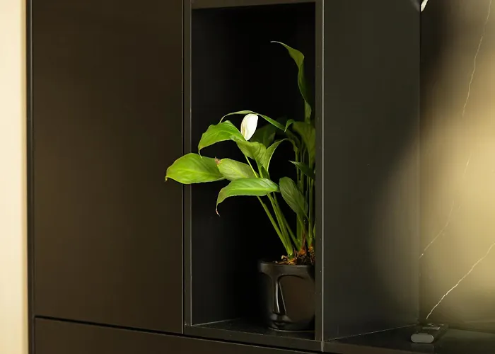 Appartement 29th Floor - Skyline Serenity & - Exclusive